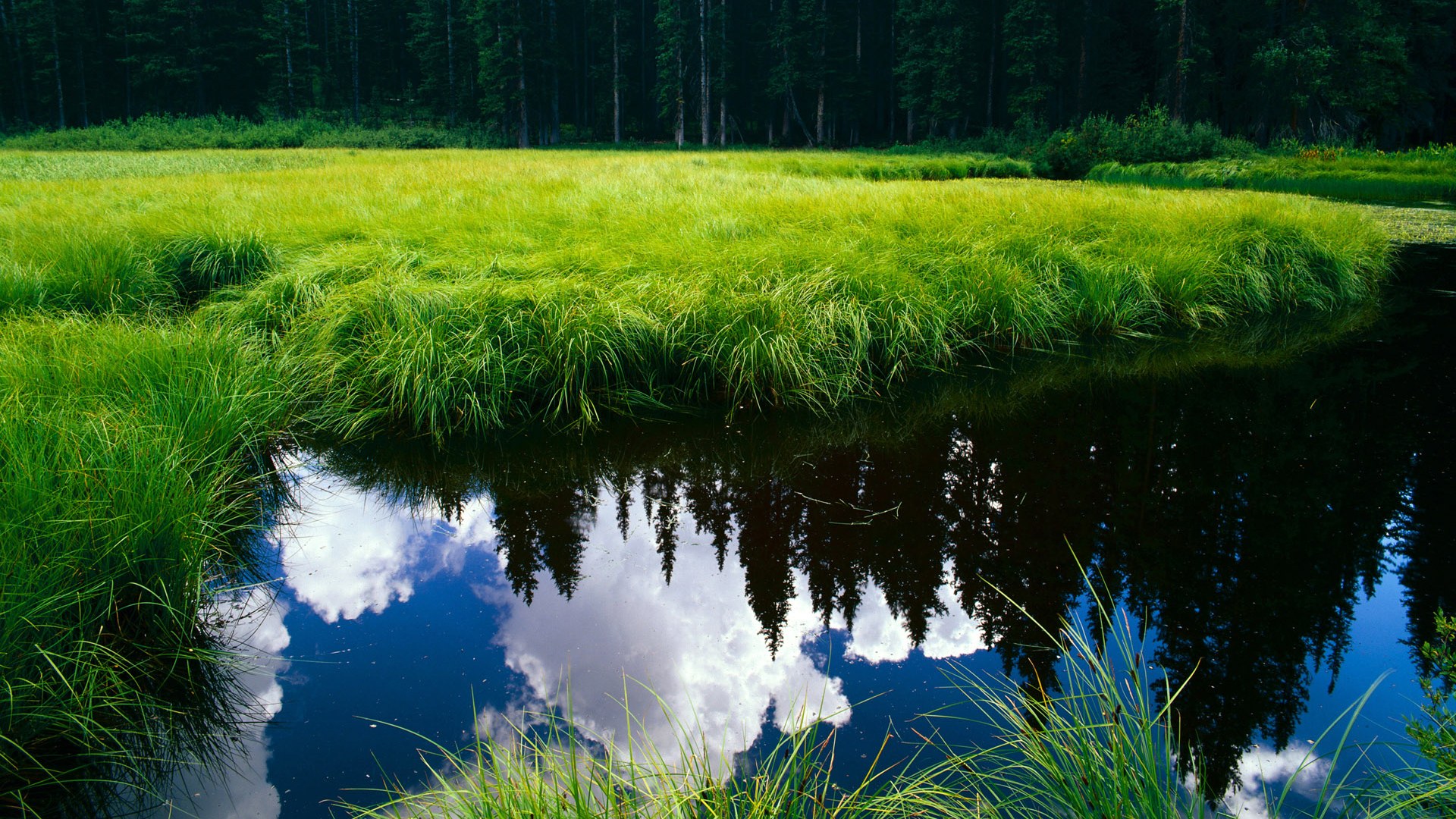 【搞笑】塞内加尔后卫滑倒后误打误撞完成助攻,塞内加尔怎么样