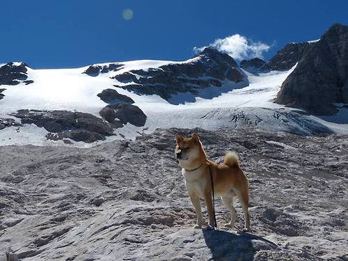 九游手机游戏-中国足球裁判首次执法亚洲杯决赛，中国足球裁判首次执法亚洲杯决赛视频